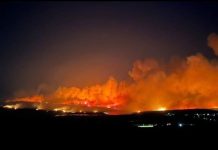 Δασικές και Περιαστικές Πυρκαγιές: Ένα επαναλαμβανόμενο κρατικό καπιταλιστικό έγκλημα
