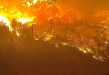 Έγκλημα με ονοματεπώνυμο η πυρκαγιά στην Κορινθία με δυο νεκρούς εθελοντές δασοπυροσβέστες και 80 χιλιάδες καμένα στρέμματα δάσους και καλλιεργήσιμης γης