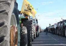 “δυσήνιος ίππος” Νίκη στα μπλόκα της φτωχής αγροτιάς!